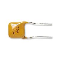 Littelfuse RF0105-000 Resettable Fuses - PPTC 250V  .12A-HD   3A      MAX