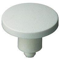 RAFI 5.46.167.091/0209 Switch Hardware Access Key Switch Round Plunger