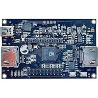 GOWIN MJB_V1.2 FPGA