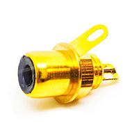 Deltron 432-0100 Professional Phono Panel Socket GOLD BLACK