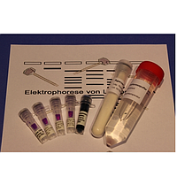 PHYWE KLA-530-110 Kit Agarose Gel Electrophoresis Of Lambda DNA