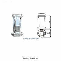 Staining Jars