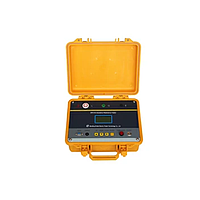Zhiwei ZW1010-5000V Insulation Resistance Tester (5000V)
