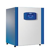 Incubator