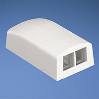 Panduit NK2BXAW-A Boxes NK 2Port Surface MNT Box, Arctic Whit