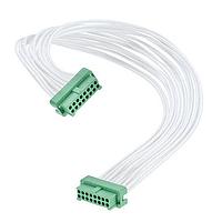 Harwin G125-FC11068L0-0300L Rectangular Cable Assemblies Gecko Cable Assembly (compatible with latches), Female Single-Ended, multi-color 26 AWG cable, 300mm long, 5+5 contacts