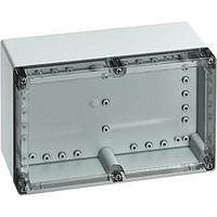 Altech 101-012-91 NEMA Rated TGABS2516-9-toS, 252x162x90mm