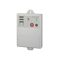Fixed gas detection