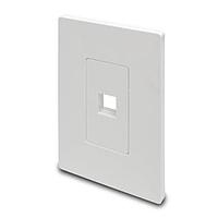 Tripp Lite N080-101 Wire Ducting & Raceways 1Port Single-Gang Wallplate