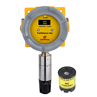 Fixed gas detection