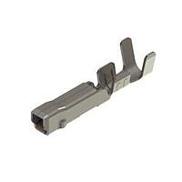 Fuse Holder