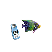 Salt meter