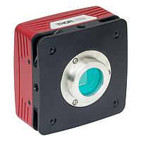 THORLABS S805MU1 CCD Scientific Camera for Microscopy (8 MP, 5,5 µm x 5,5 µm)