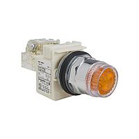 Square D 9001K1L35LGG With Guard PSH BTTN OPRATR 30MM TYPE K
