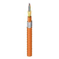 Belden FI2D024F9 Multimode FI DN_TB OM2 24F OFCR_AIA