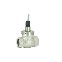 Flow Switch