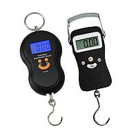 WeiHeng Portable mini hanging scale Calibration Service