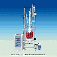 SciLab SL.Rea2521 Reactor Set, 2-wall Glass, 300Ncm, DN 150, PTFE Lids, REA-5C , 5/0.1Lit