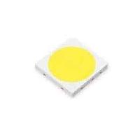 White LEDs