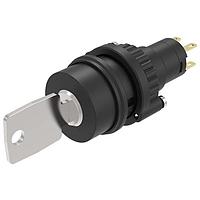 EAO 14-235.022K Keylock Switches LPB MNT GRY UNV LL