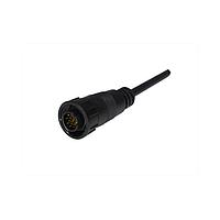 Amphenol LTW ADD-18AFMM-LL7A03 Sensor Cables / Actuator Cables Ceres, Large Size, Plastic, 5A, 18 pins, Female Connector, Male Contact, Straight, 2 Points Lock, Overmolded, Length 3000mm, IP67