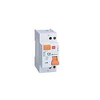 LS RKP 1P+N 32A 30mA Aptomat