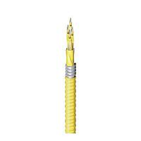 Belden FISD048FK Simplex/Singlemode FI DN_TB OS2 48F OFCR_AIA