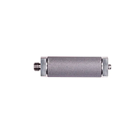 TESTO 0600 7616 Industrial Probe Preliminary Filter (ø30 mm, 110 mm)