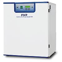 Incubator