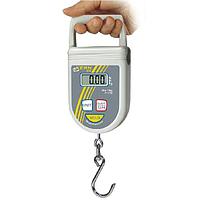 Crane scale