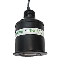 Pulsar measurement dBi-M6 Modbus Intelligent Transducer (300 mm - 6 m (11.8 in - 19.7 ft))