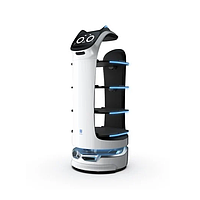 Delivery Robots
