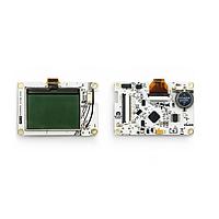 Development Boards & Kits