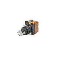 Omron Automation and Safety A22NK-2BM-01AA-G002 Keylock Switches Assm KSel Plas Bzl Blck 1 NC