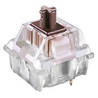 Tactile Switches