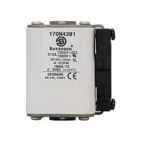 Eaton Bussmann 170M4391 High Speed Fuse 315A 1250V 1BKN/75 AR CU