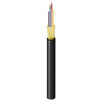 Belden FD2D012P9 Multimode FD DN_TB OM2 12F OFNP