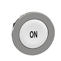 SCHNEIDER ZB4FA141 Control Switches FLUSH WH CAPS PB HEAD BK MARKED ON