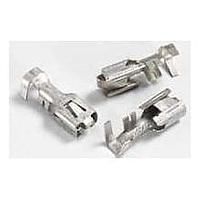 Screws & Fasteners