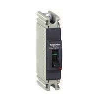 Schneider EZC100H1080 MCCB, 1P, 80A, 25kA, 220/240VAC