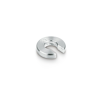 KERN 347-035-N00 Newton Weight (5 cN)