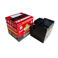Santak ECT-UP12100VA18 Ecotek Batteries (12V, 100Ah)