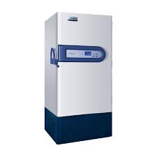 Laboratory deep freezer inspection and condition assessment