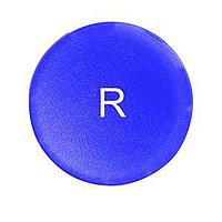 Eaton M22-XDL-B-X6 Button Lens FLSH BLU ETCHED BUTTON FOR ILL PB