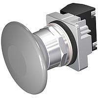 SIEMENS 52PM9V6E Pushbutton PUSHBUTTON,MOM,GRY,2 1/2" PLST,2POS,1BAE