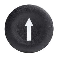 SCHNEIDER ZBA335 Caps PSH BTTN CAP FLUSH BLACK MARKED UP ARR