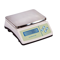 Precision scale