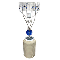 Chromatography