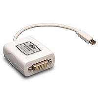 Tripp Lite P137-06N-DVI Adapters 6IN MINI DSPLAYPRT/DVI ADAPTER