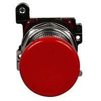 Pushbutton Switches